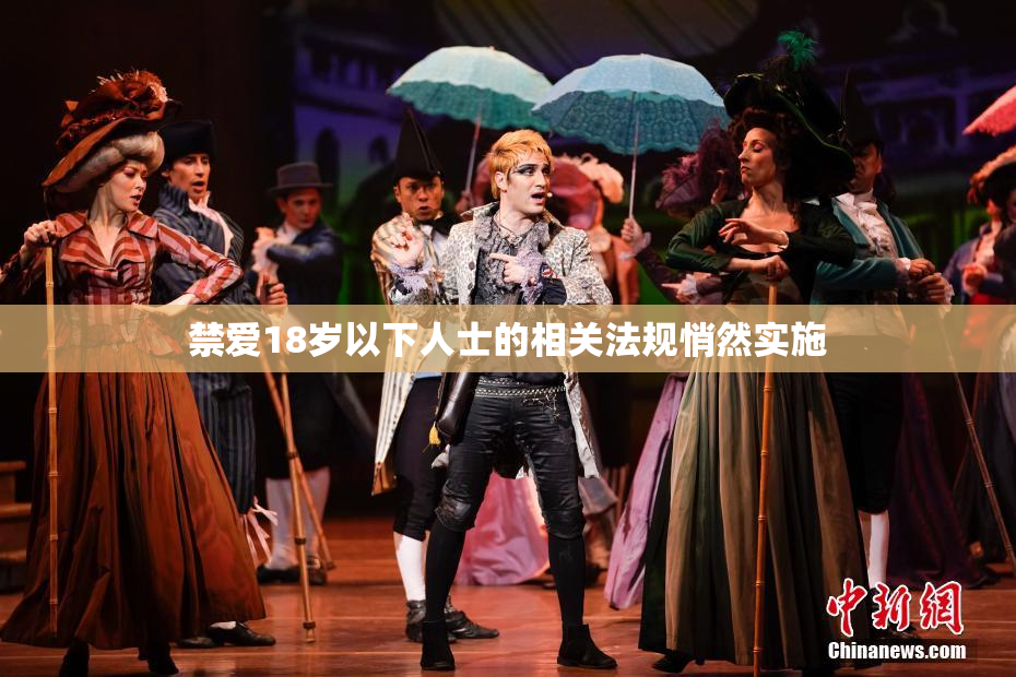 禁爱18岁以下人士的相关法规悄然实施