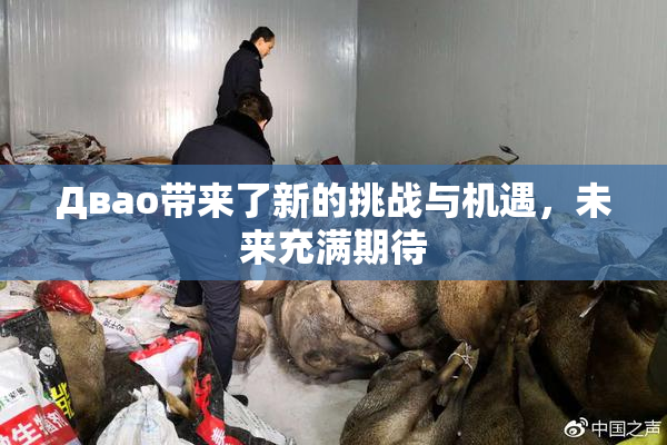 Двао带来了新的挑战与机遇，未来充满期待