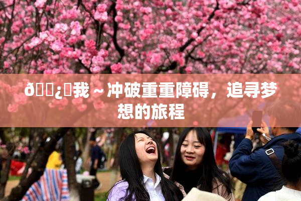 🌿‌我～冲破重重障碍，追寻梦想的旅程