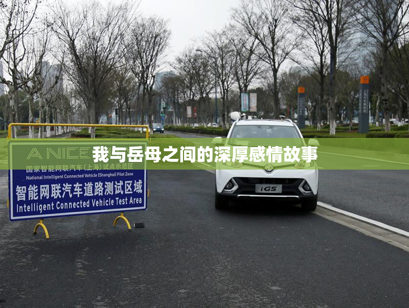我与岳母之间的深厚感情故事