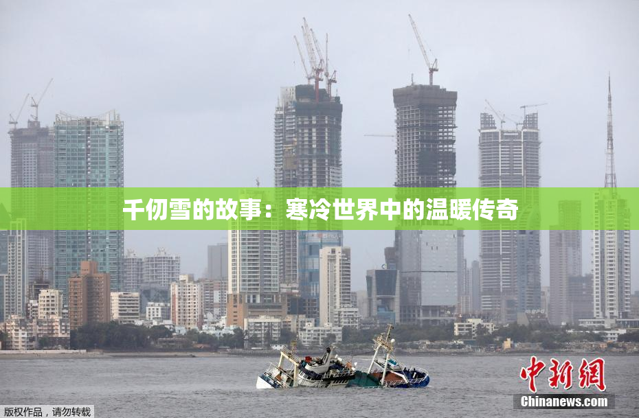 千仞雪的故事：寒冷世界中的温暖传奇