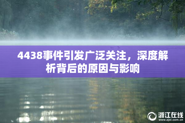 4438事件引发广泛关注，深度解析背后的原因与影响