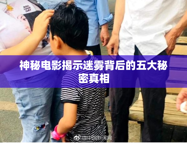神秘电影揭示迷雾背后的五大秘密真相