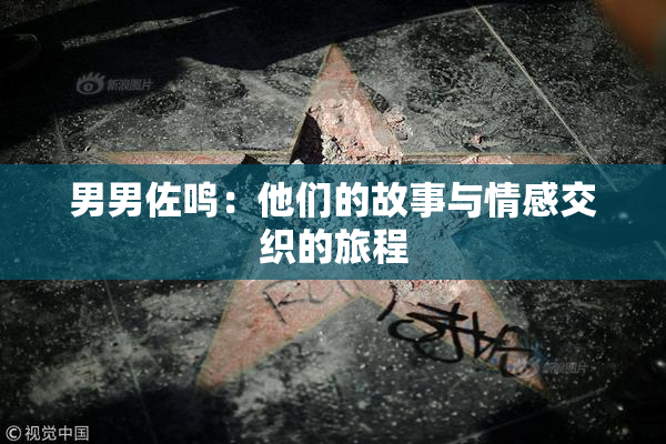 男男佐鸣：他们的故事与情感交织的旅程