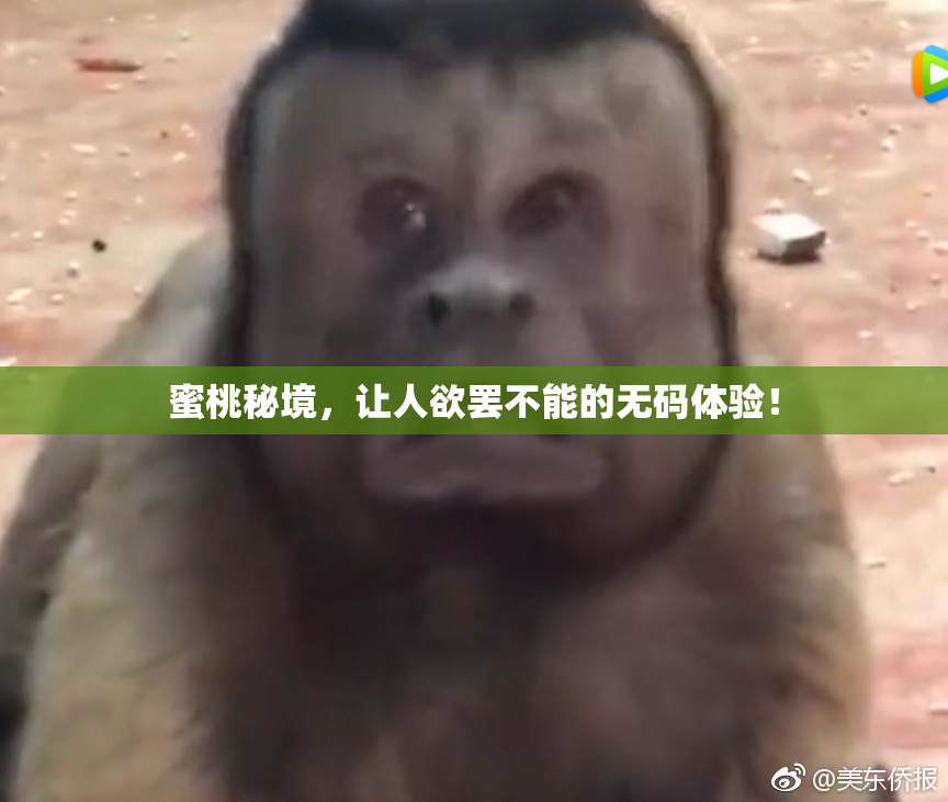 蜜桃秘境，让人欲罢不能的无码体验！