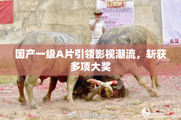 国产一级A片引领影视潮流，斩获多项大奖