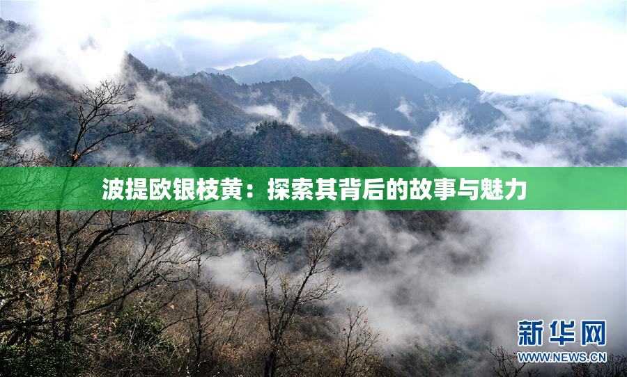 波提欧银枝黄：探索其背后的故事与魅力