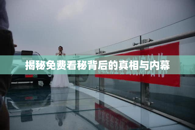 揭秘免费看秘背后的真相与内幕