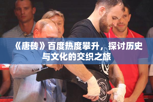 《唐砖》百度热度攀升，探讨历史与文化的交织之旅