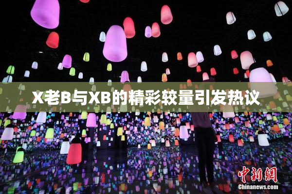 X老B与XB的精彩较量引发热议