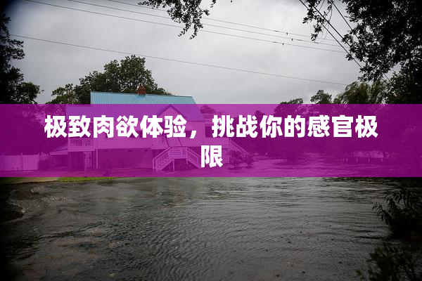 极致肉欲体验，挑战你的感官极限