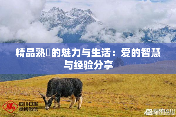 精品熟婦的魅力与生活：爱的智慧与经验分享