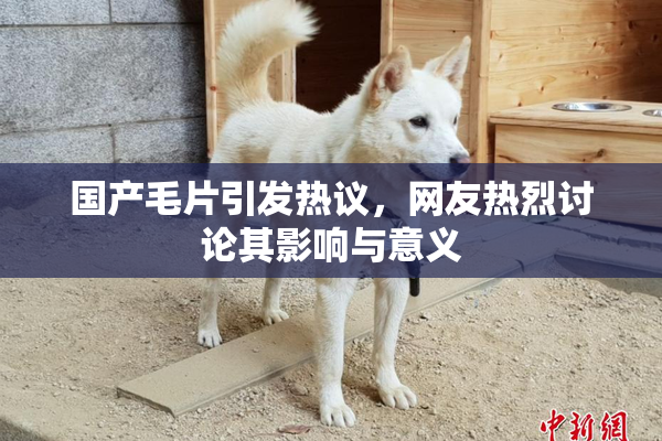 国产毛片引发热议，网友热烈讨论其影响与意义