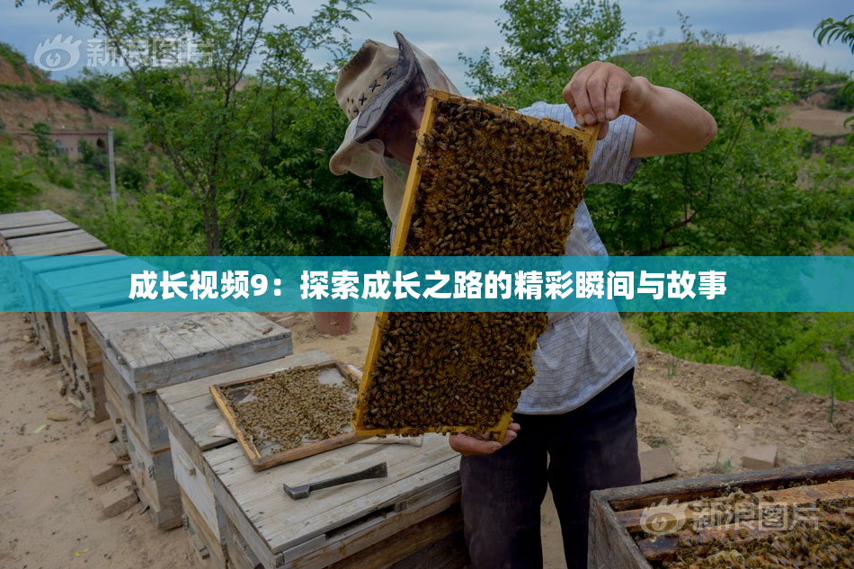 成长视频9：探索成长之路的精彩瞬间与故事