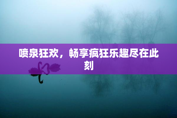 喷泉狂欢，畅享疯狂乐趣尽在此刻