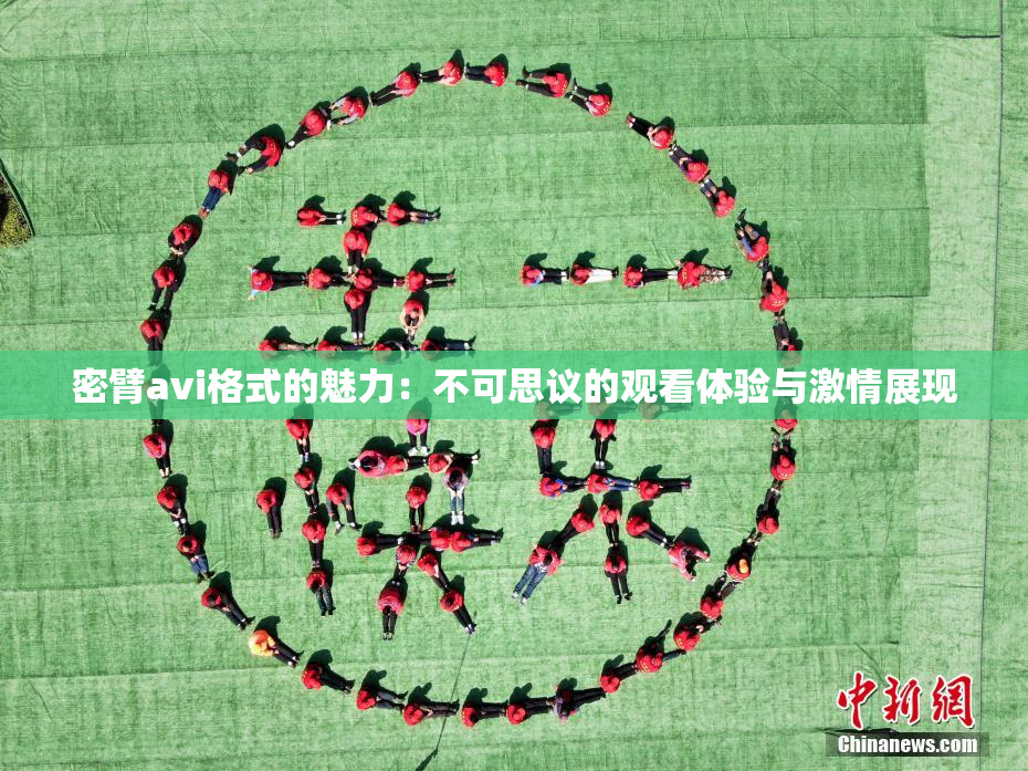 密臂avi格式的魅力：不可思议的观看体验与激情展现