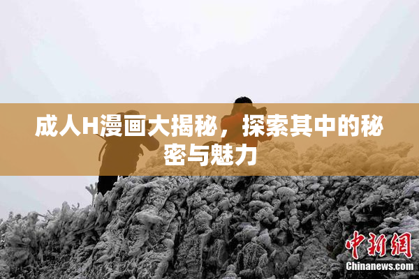 成人H漫画大揭秘，探索其中的秘密与魅力