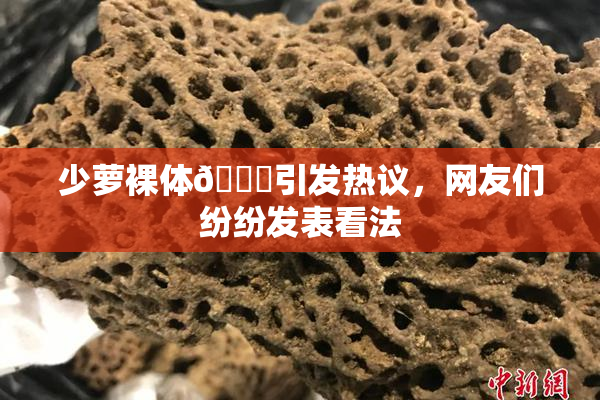 少萝裸体🔞引发热议，网友们纷纷发表看法