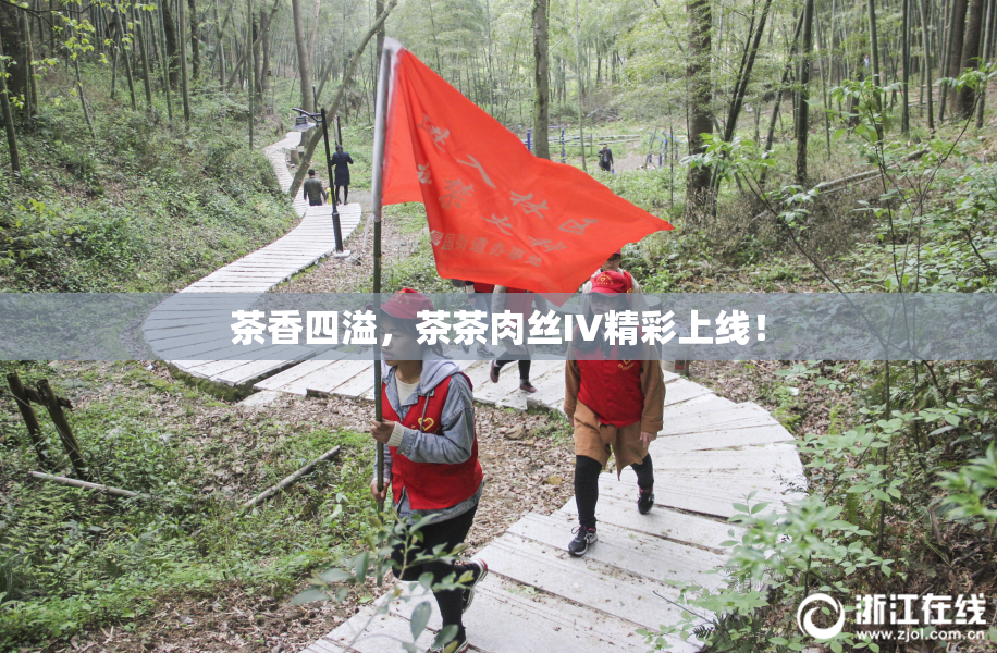 茶香四溢，茶茶肉丝IV精彩上线！