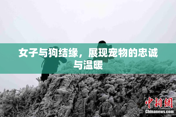 女子与狗结缘，展现宠物的忠诚与温暖