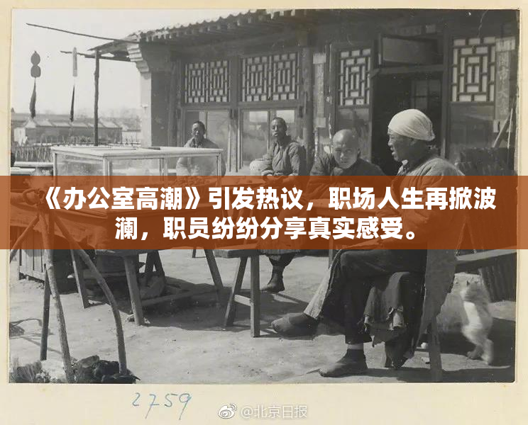 《办公室高潮》引发热议，职场人生再掀波澜，职员纷纷分享真实感受。