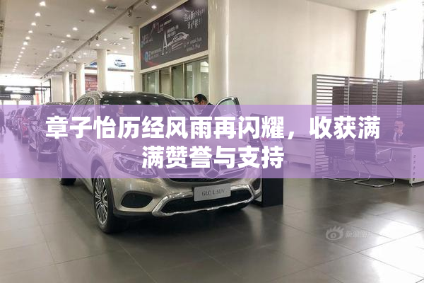章子怡历经风雨再闪耀，收获满满赞誉与支持