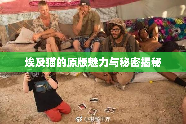 埃及猫的原版魅力与秘密揭秘