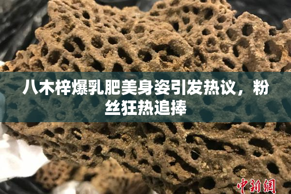八木梓爆乳肥美身姿引发热议，粉丝狂热追捧
