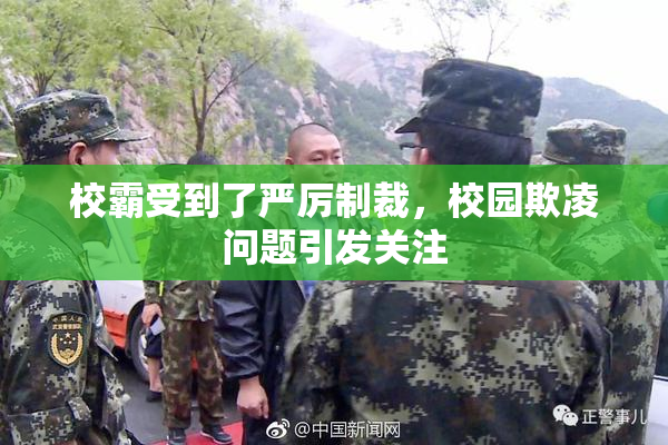 校霸受到了严厉制裁，校园欺凌问题引发关注