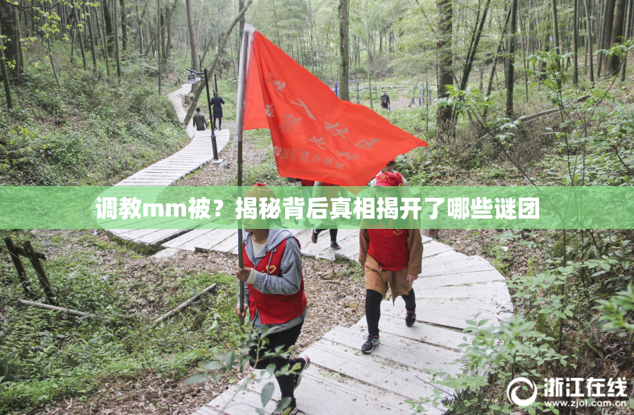调教mm被？揭秘背后真相揭开了哪些谜团