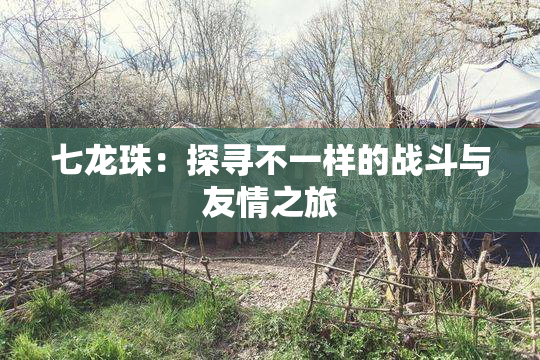 七龙珠：探寻不一样的战斗与友情之旅