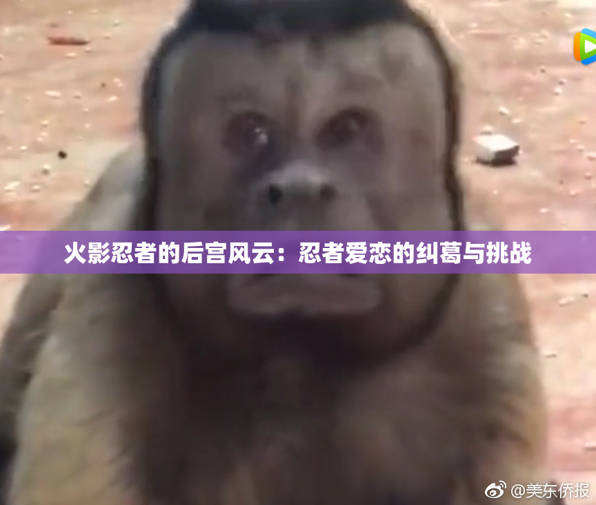 火影忍者的后宫风云：忍者爱恋的纠葛与挑战