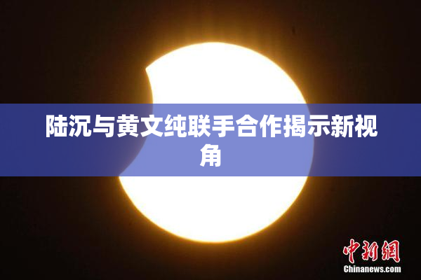 陆沉与黄文纯联手合作揭示新视角
