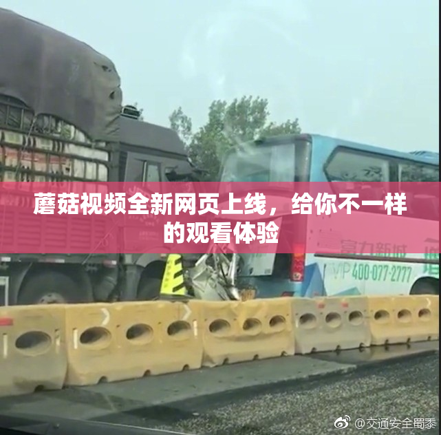 蘑菇视频全新网页上线，给你不一样的观看体验