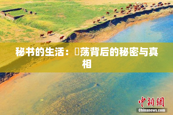 秘书的生活：婬荡背后的秘密与真相
