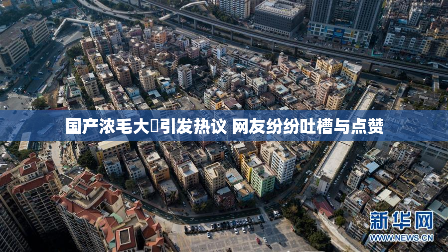 国产浓毛大泬引发热议 网友纷纷吐槽与点赞