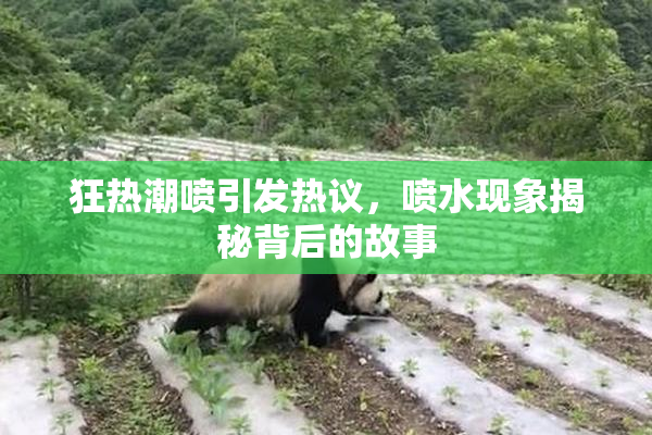 狂热潮喷引发热议，喷水现象揭秘背后的故事
