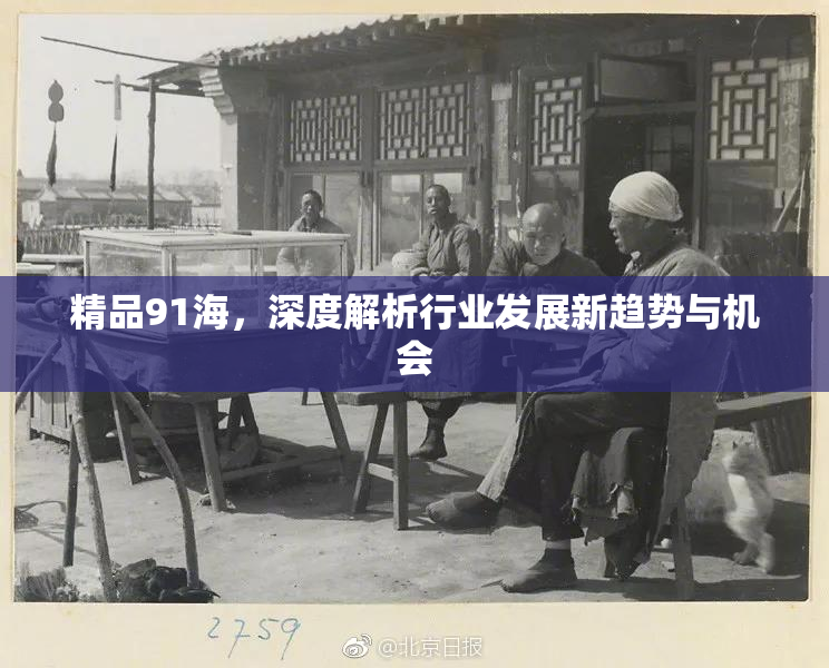 精品91海，深度解析行业发展新趋势与机会
