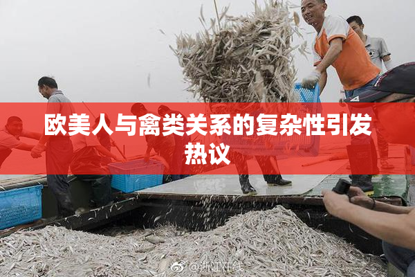 欧美人与禽类关系的复杂性引发热议