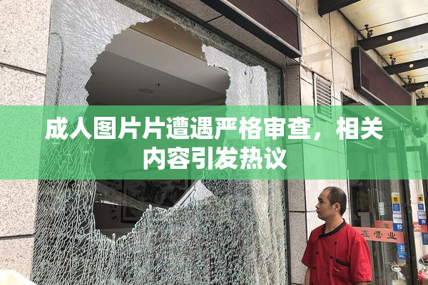 成人图片片遭遇严格审查，相关内容引发热议