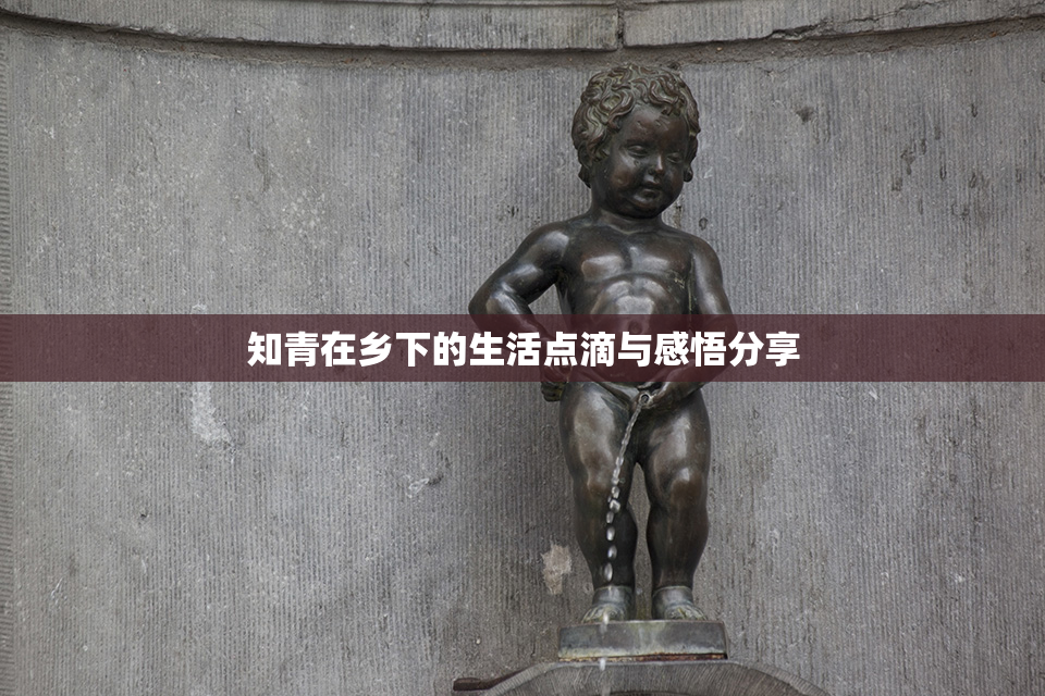 知青在乡下的生活点滴与感悟分享