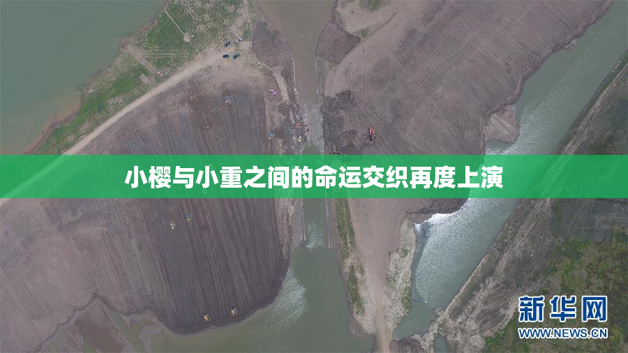 小樱与小重之间的命运交织再度上演
