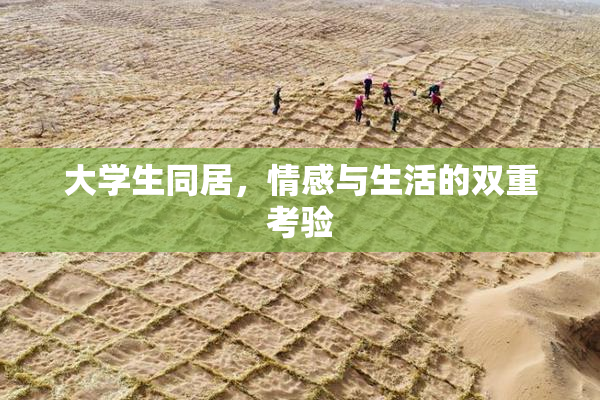 大学生同居，情感与生活的双重考验