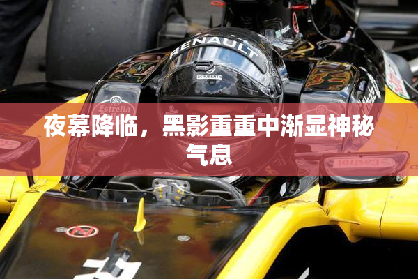 夜幕降临，黑影重重中渐显神秘气息