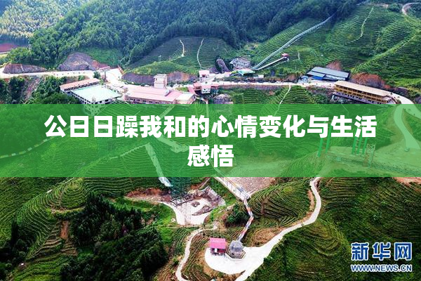 公日日躁我和的心情变化与生活感悟