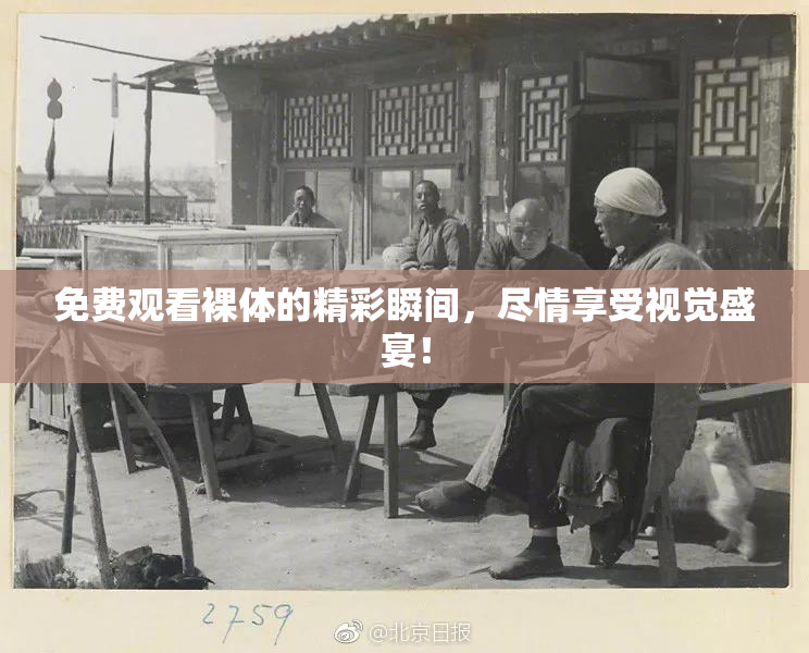 免费观看裸体的精彩瞬间，尽情享受视觉盛宴！