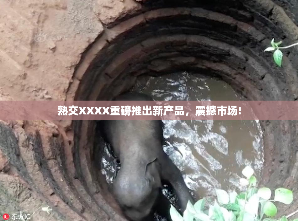 熟交XXXX重磅推出新产品，震撼市场!