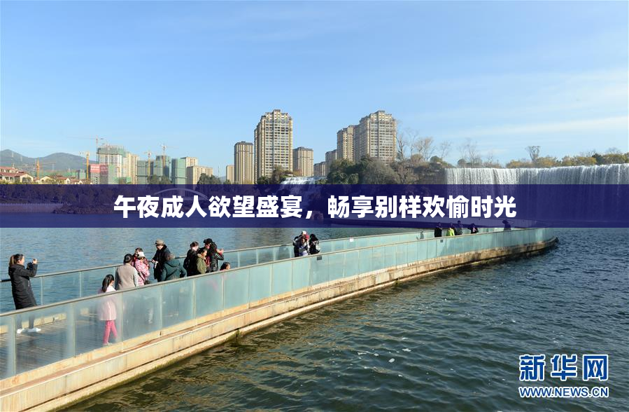 午夜成人欲望盛宴，畅享别样欢愉时光
