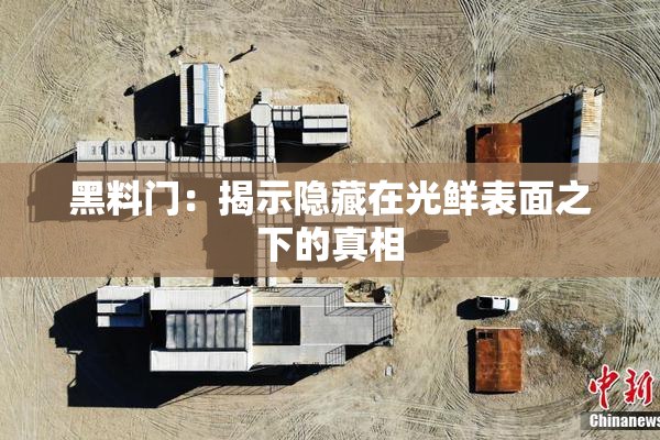 黑料门：揭示隐藏在光鲜表面之下的真相