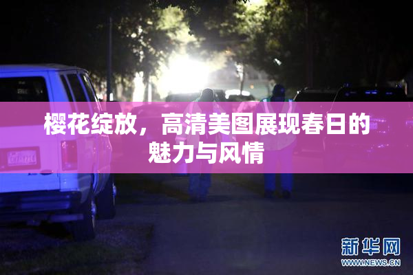 樱花绽放，高清美图展现春日的魅力与风情